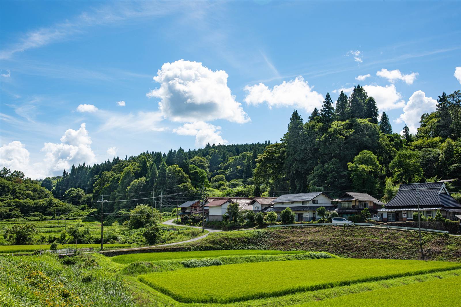 浅原エリア