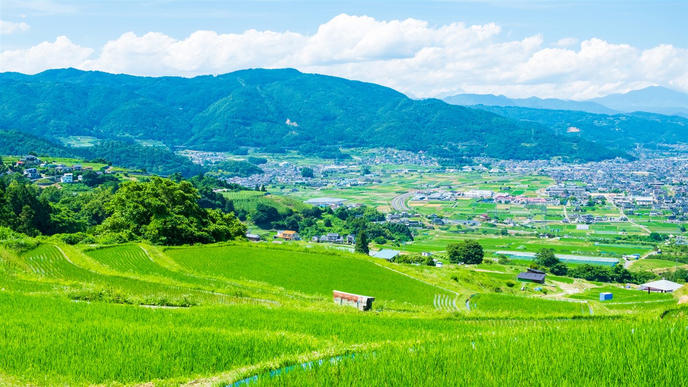 山から望む、里山風景